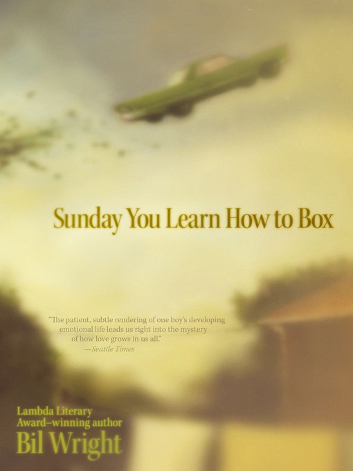 Title details for Sunday You Learn How to Box by Bil Wright - Wait list